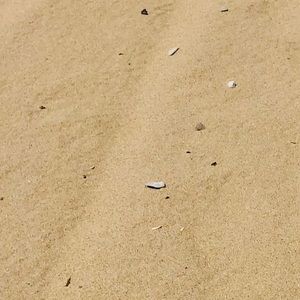 Meet your Posher, Sami